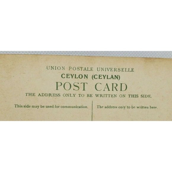 The Colombo Apothecaries Co LTD Street Scene Pettah Colombo #14 Post Card - Picture 6 of 9